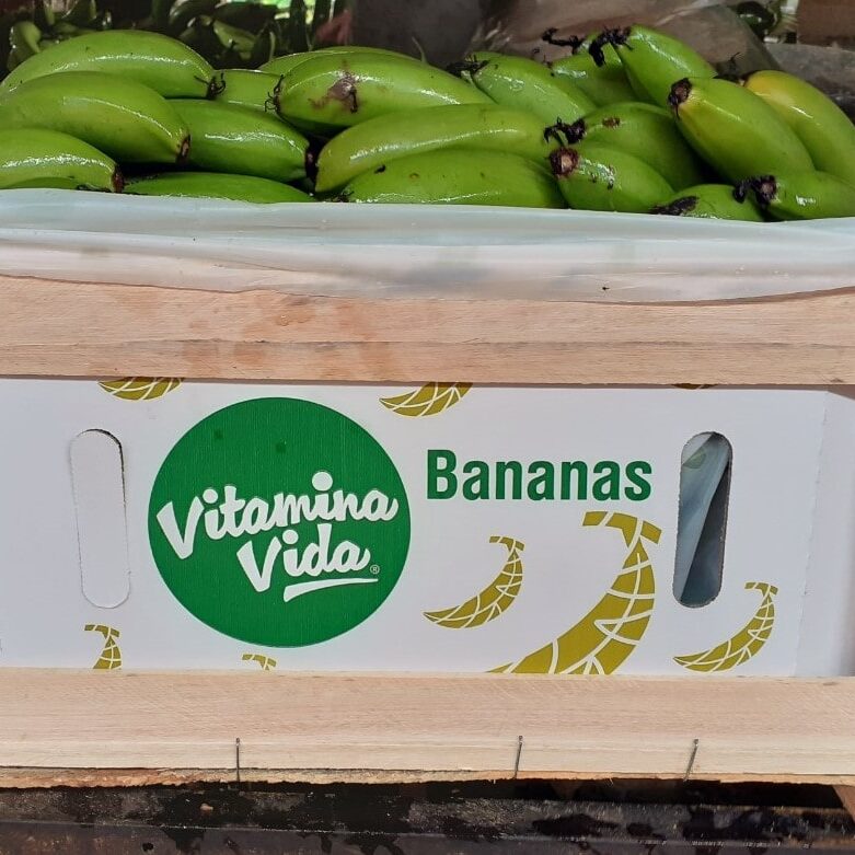 vitamina-vida_bananas_001